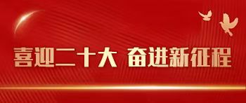 开云娱乐网站勒沃库森的赞助商